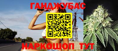 дмт Сланцы