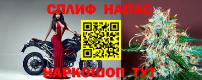 дмт Сланцы