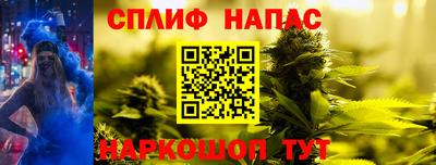 дмт Сланцы