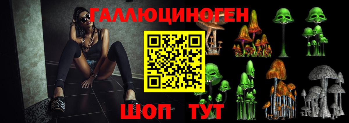 Строитель  Галлюциногенные грибы Magic Shrooms  Вход с VPN  Псилоцибиновые грибы MAGIC MUSHROOMS 